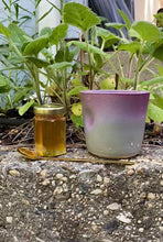 Load and play video in Gallery viewer, Honey